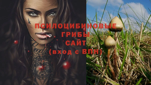 мескалин Бородино