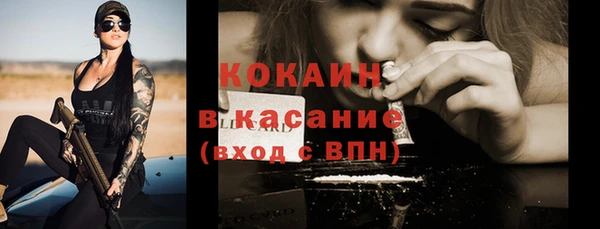 соль ск Богданович