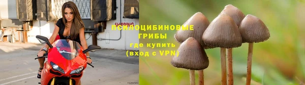 мескалин Бородино
