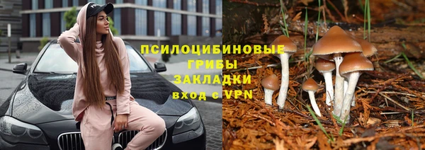соль ск Богданович