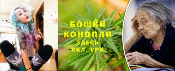 СК Богородицк